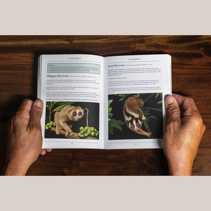 A Naturalist’s Guide to the Mammals of Southeast Asia