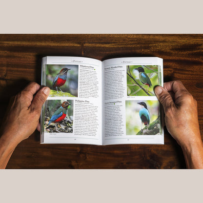 A Naturalist’s Guide to the Birds of the Philippines