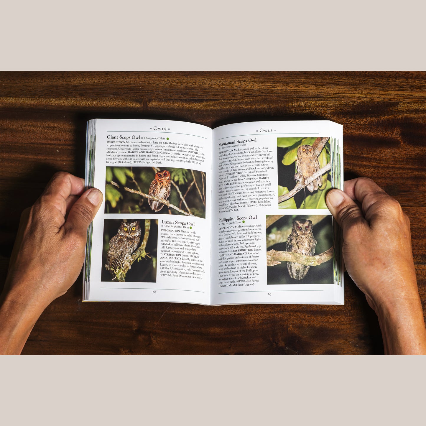A Naturalist’s Guide to the Birds of the Philippines