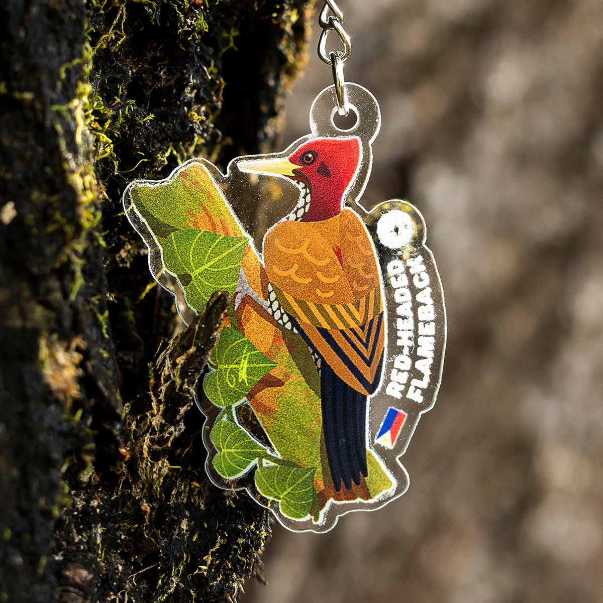 Endemic Birds of Palawan Keychains